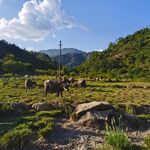 丘陵风貌 草地风景