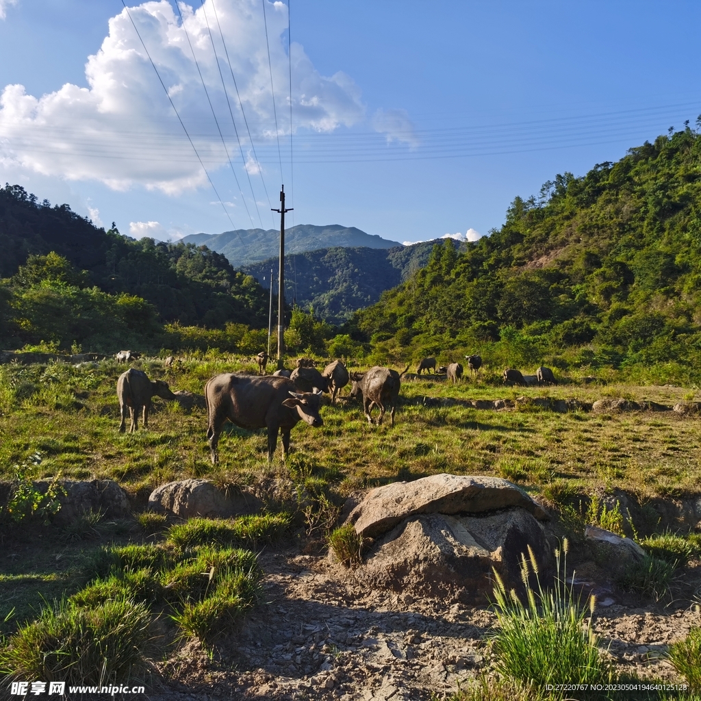 丘陵风貌 草地风景