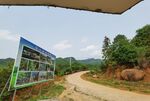 山地森林 山林