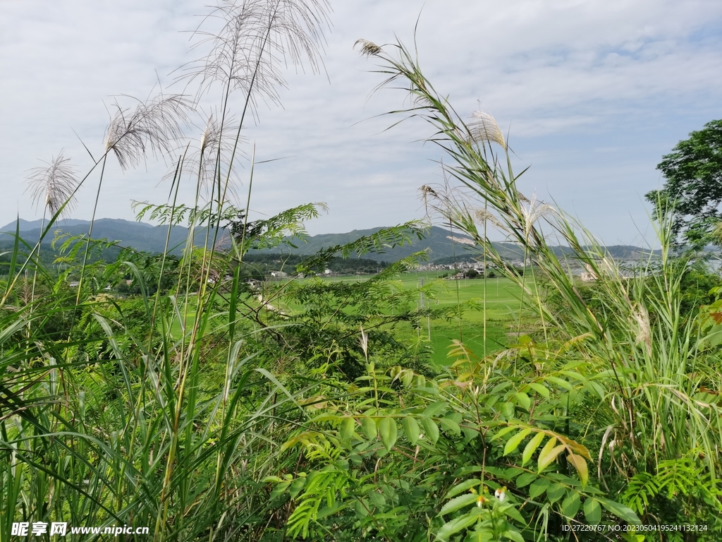 田园风景