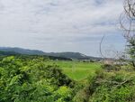 乡村风景