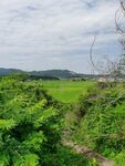 田园风景