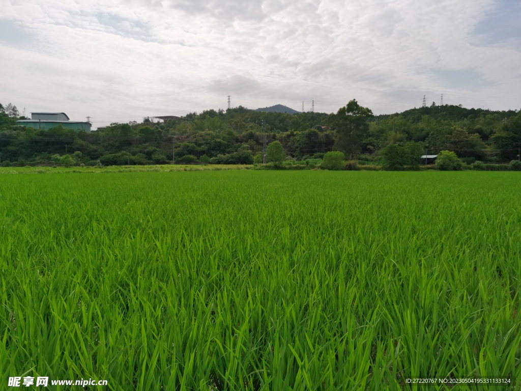 田园素材