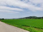 农村田园