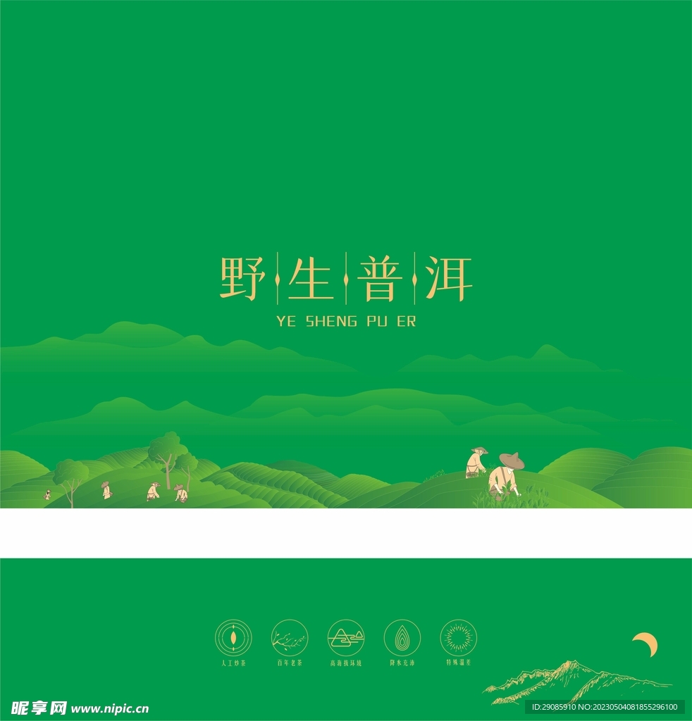 包装 平面 矢量 分层 传统 