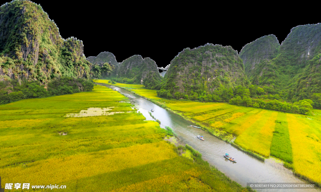 树林山坡草地PNG