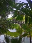 厦门植物园
