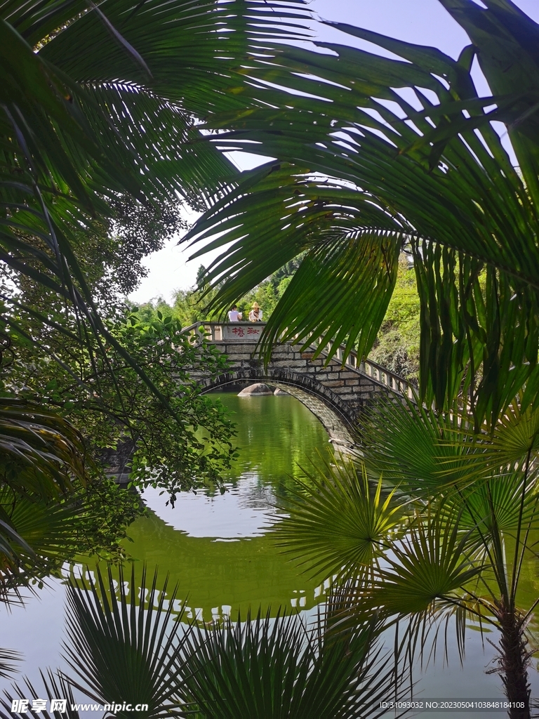 厦门植物园