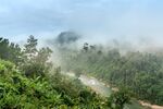 山涧小溪