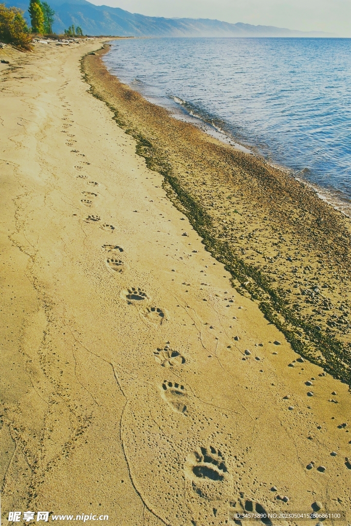 海滩风光