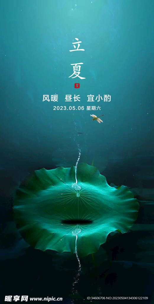 立夏海报