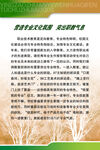 职业教育