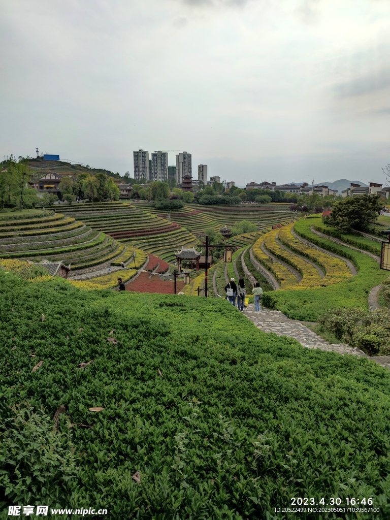 奢香古镇梯田