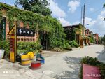 花溪板桥艺术村