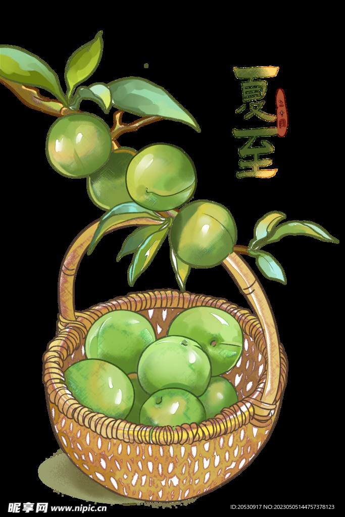 夏至节气插画