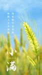 小满海报