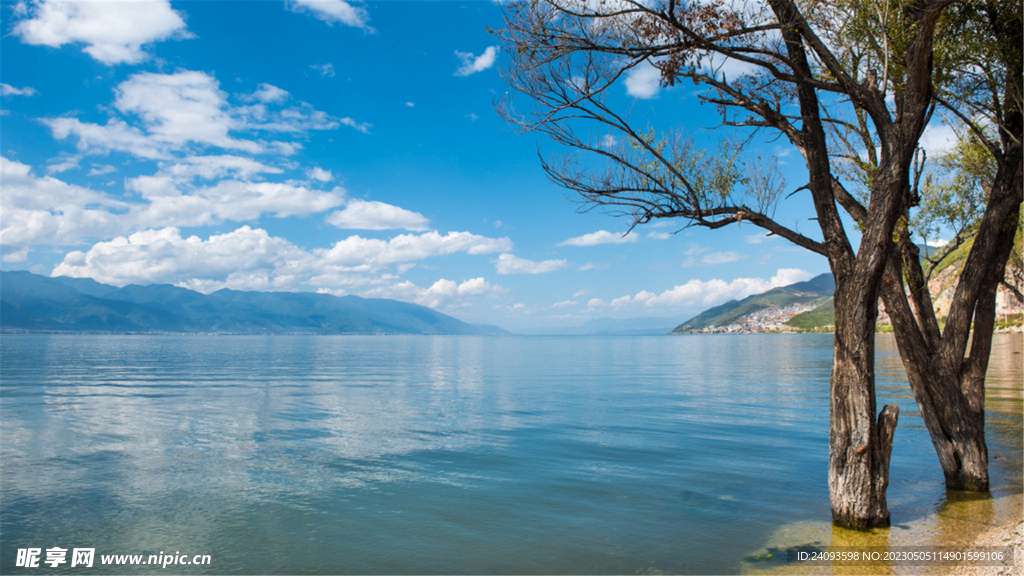 湖边美景