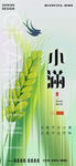 小满节气海报