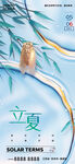 立夏海报