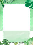 绿植背景
