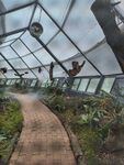 植物园微小生物展区