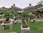 盆景花园园林建筑