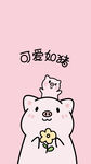 萌趣可爱小猪