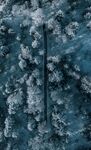 雪地