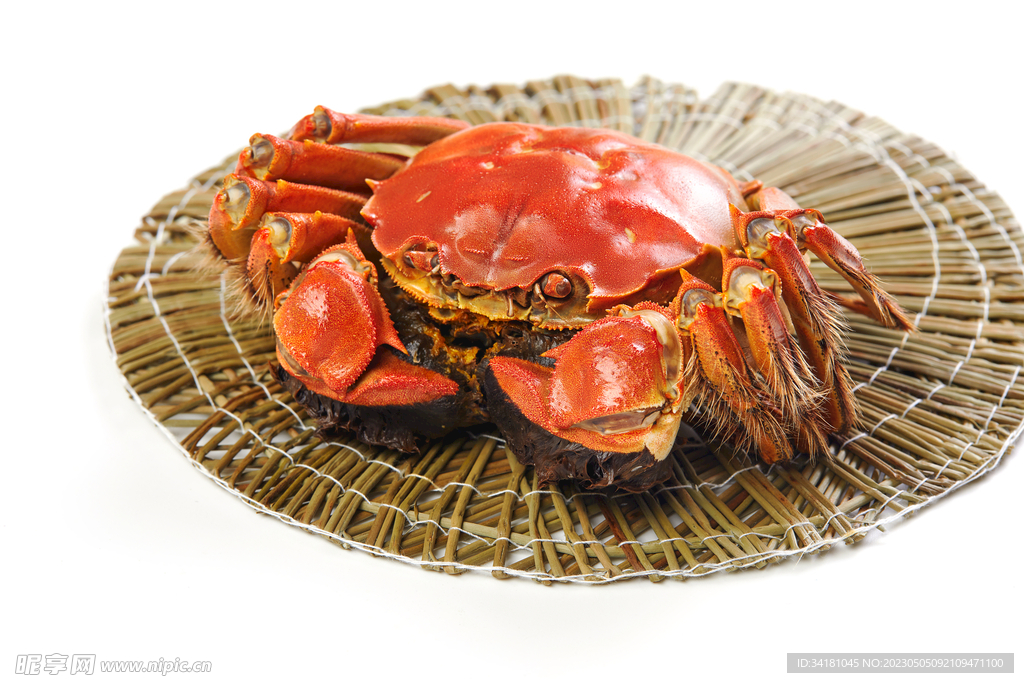 鲜美大闸蟹