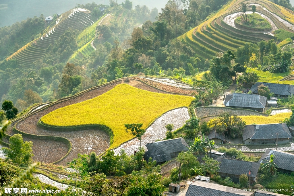 山村梯田