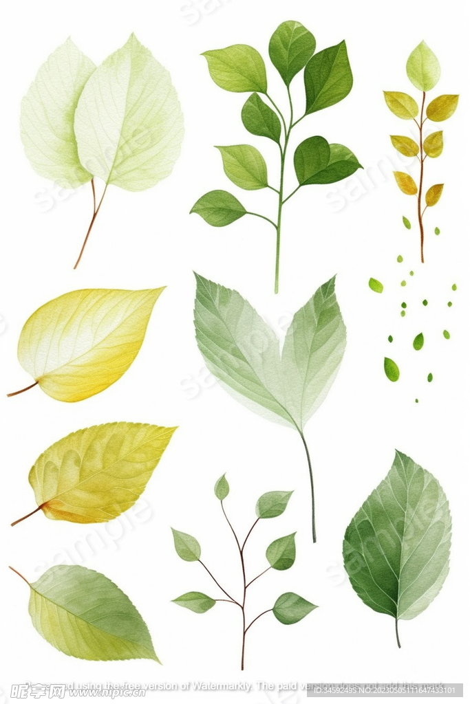 各种树叶插画