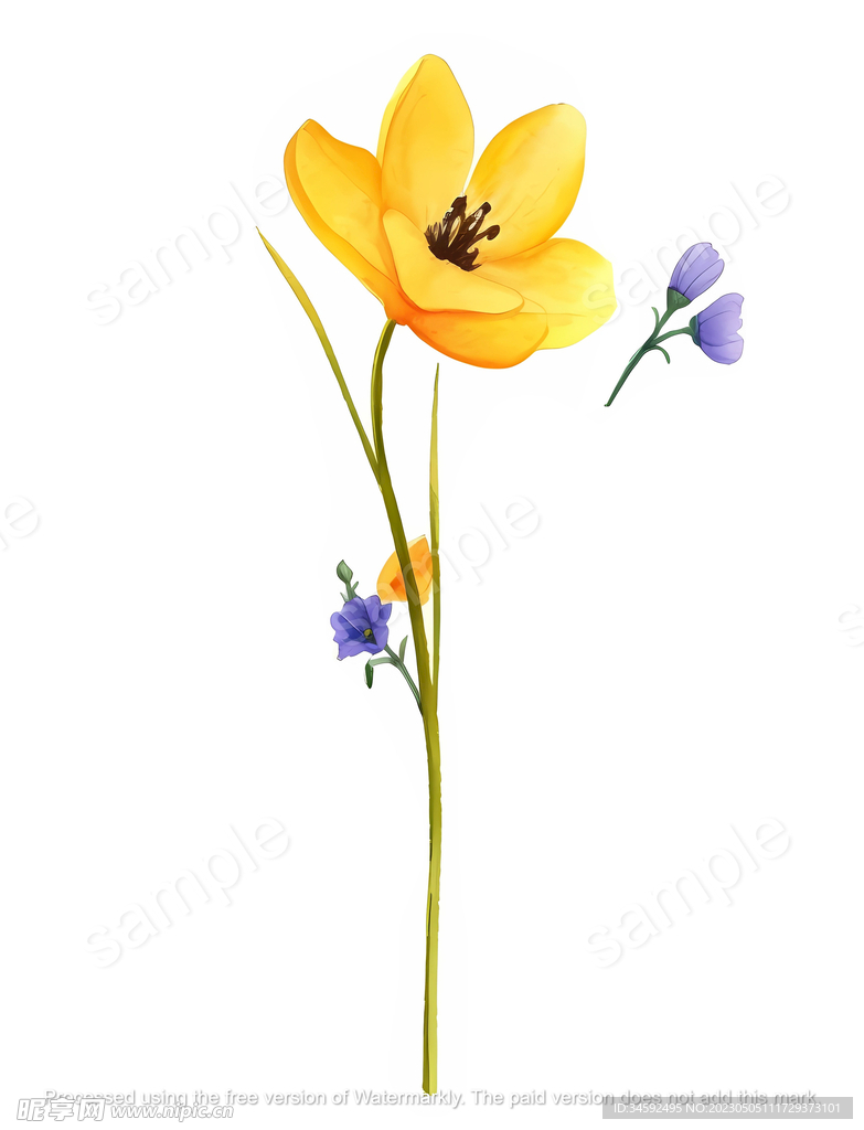 黄色的小花