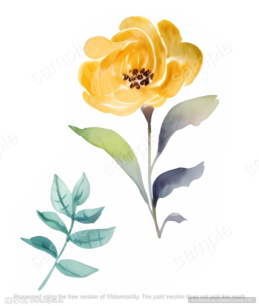 黄色的花朵