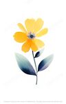 黄色的小花