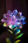  水晶贝壳质感超现实花卉