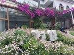 花卉民宿庭院