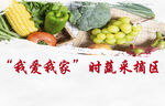新鲜时蔬