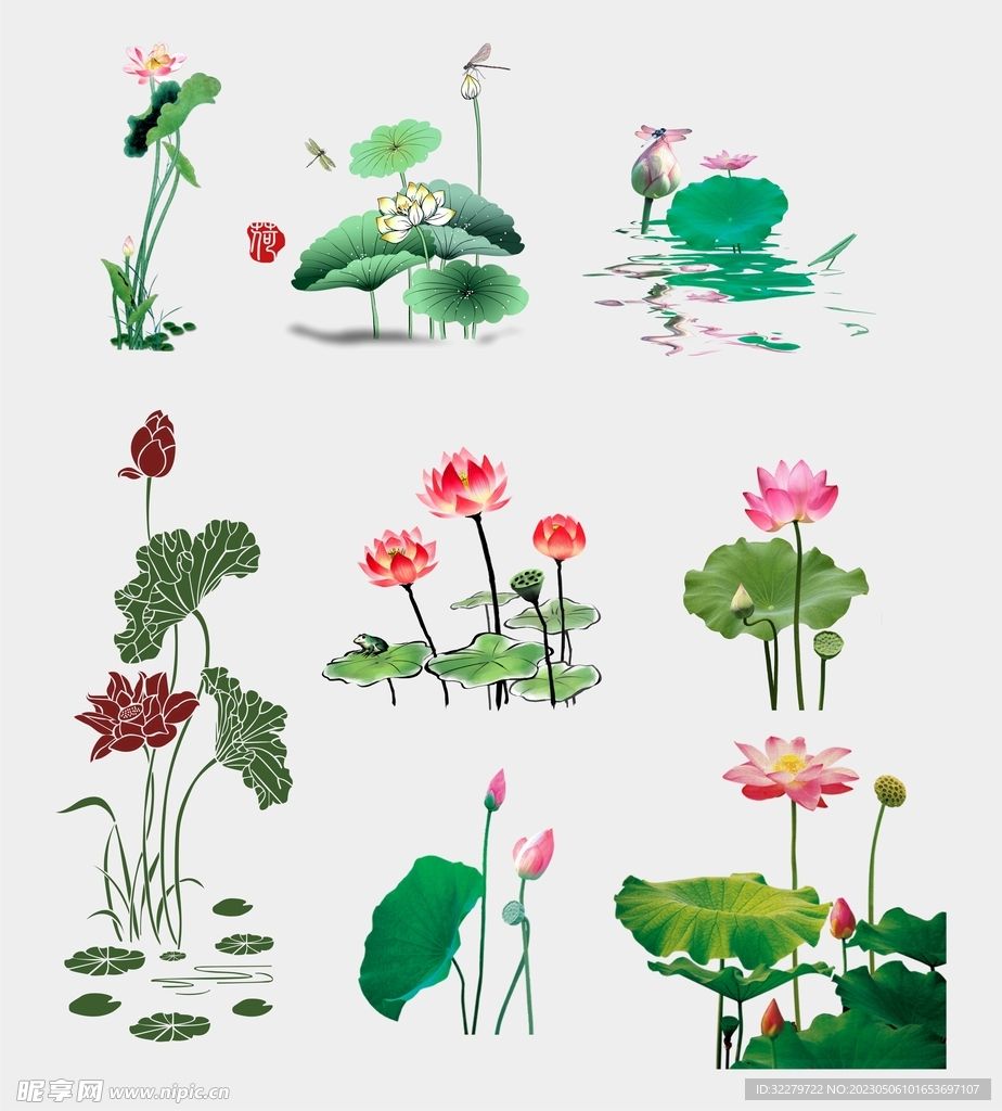 荷花