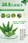 芦荟灌肤
