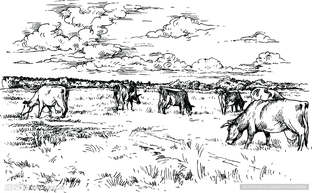 牧场 手绘 牛 