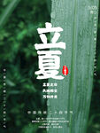 立夏