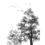 树林