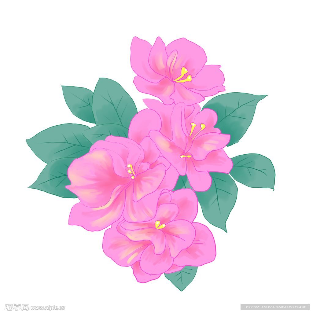 可爱花