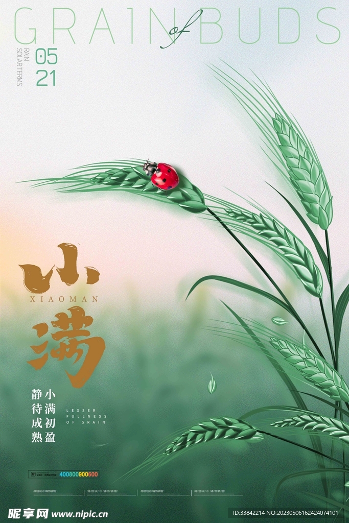 小满节气