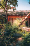 庭院