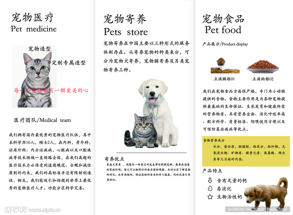 三折页反面