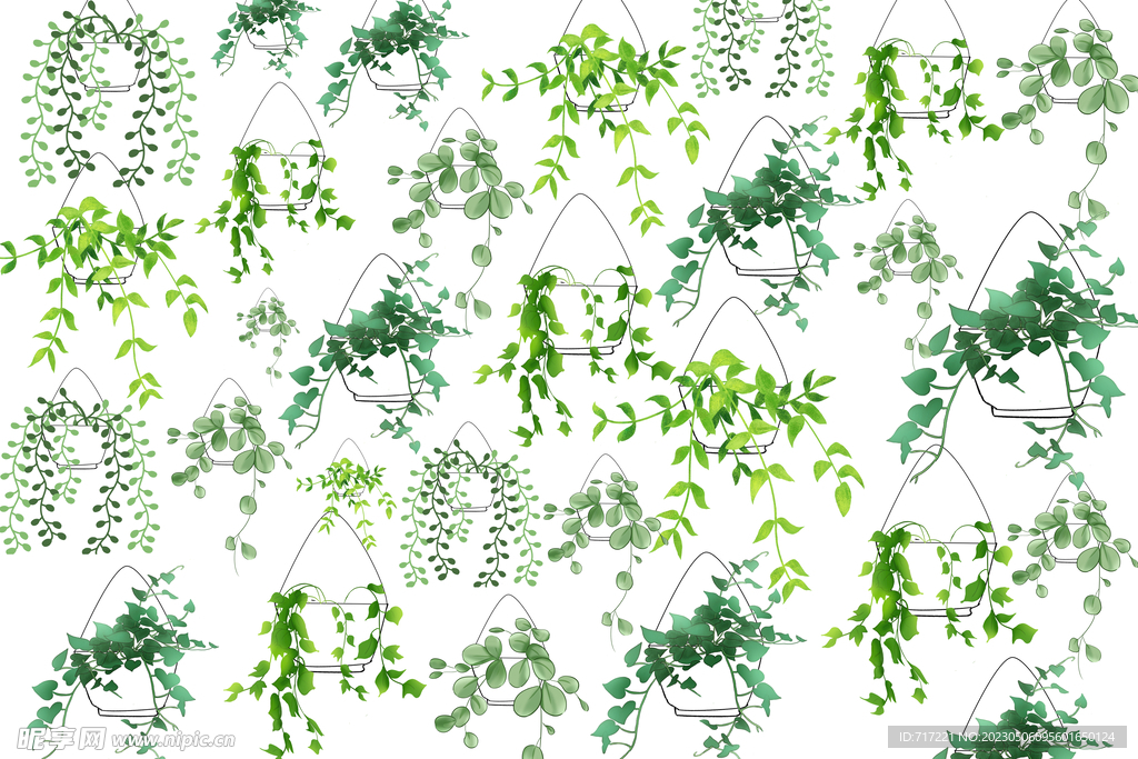 手绘景观植物