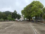 学校绿化