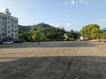 小学