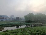 河边